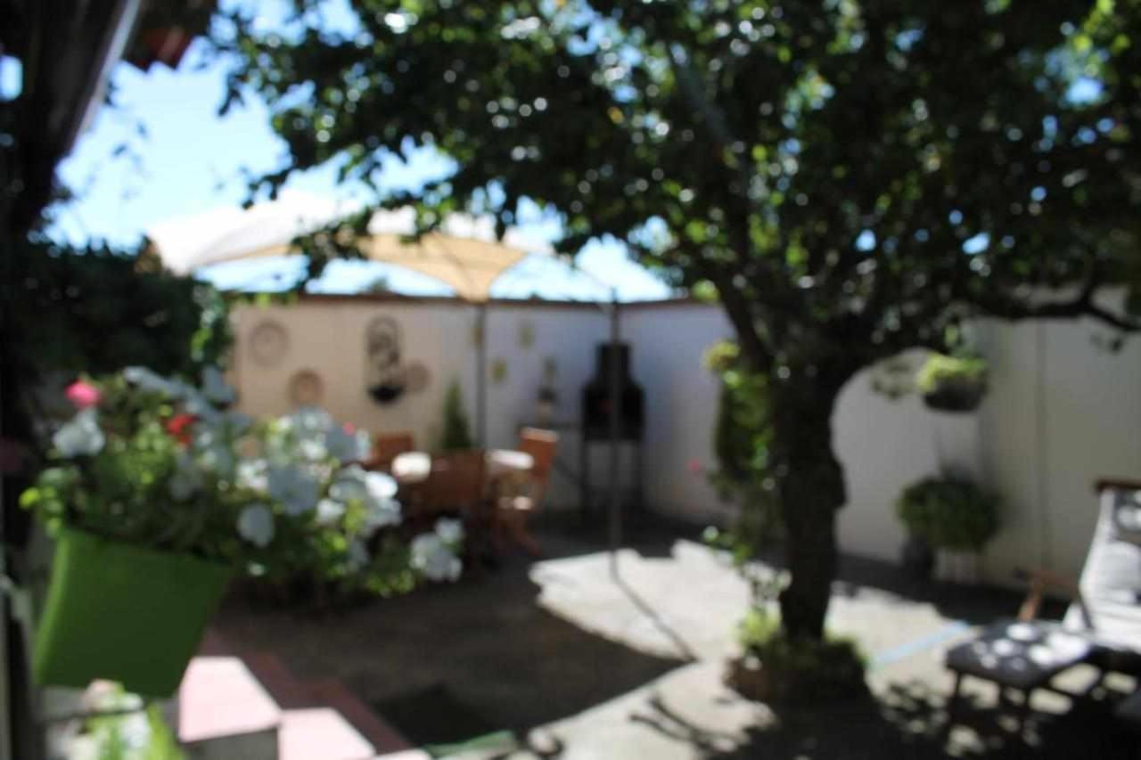 Alojamiento La Olmedana Olmedo Esterno foto